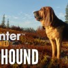 theHunter: Call of the Wild - Bloodhound DLC EU PC Steam CD Key