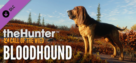 theHunter: Call of the Wild - Bloodhound DLC EU PC Steam CD Key