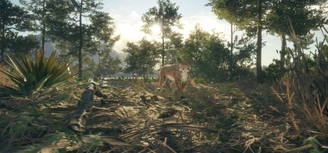 theHunter: Call of the Wild - Rancho del Arroyo DLC EU PC Steam CD Key