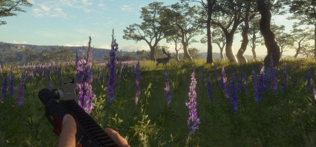 theHunter: Call of the Wild - Modern Rifle Pack DLC EU PC Steam CD Key