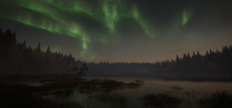 theHunter: Call of the Wild - Revontuli Coast DLC EU PC Steam CD Key theHunter: Call of the Wild - Revontuli Coast DLC EU PC Steam CD Key