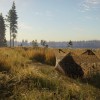 theHunter: Call of the Wild - Revontuli Coast DLC EU PC Steam CD Key theHunter: Call of the Wild - Revontuli Coast DLC EU PC Steam CD Key