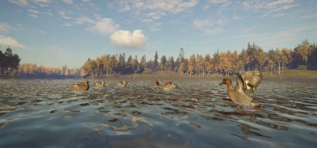 theHunter: Call of the Wild - Revontuli Coast DLC EU PC Steam CD Key theHunter: Call of the Wild - Revontuli Coast DLC EU PC Steam CD Key