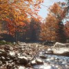 theHunter: Call of the Wild - New England Mountains DLC PC Steam CD Key