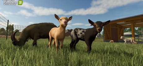 Farming Simulator 25 - Year 1 Season Pass DLC PC Steam CD Key Farming Simulator 25 - Year 1 Season Pass DLC PC Steam CD Key