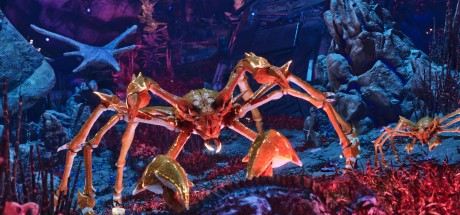 ARK: Survival Ascended Steam CD Key ARK: Survival Ascended Steam CD Key