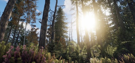 Rustly 300 Coin Gift Card