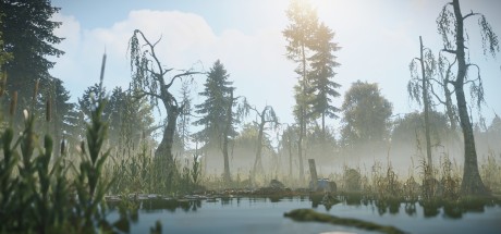 Rustly 300 Coin Gift Card