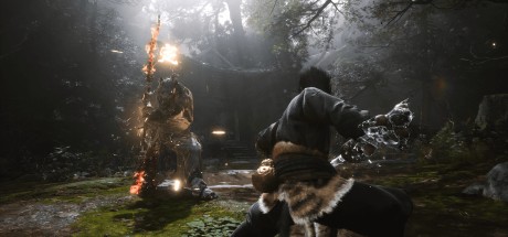 Black Myth: Wukong - Deluxe Edition Upgrade DLC EU (without DE) PS5 CD Key Black Myth: Wukong - Deluxe Edition Upgrade DLC EU (without DE) PS5 CD Key