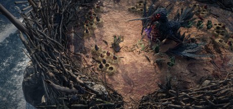 Path of Exile 2 Early Access PC Official website CD Key