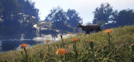 theHunter: Call of the Wild - Sundarpatan Nepal Hunting Reserve DLC PC Steam CD Key