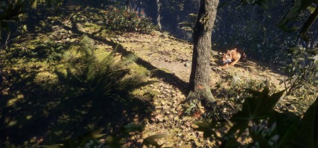 theHunter: Call of the Wild - Sundarpatan Nepal Hunting Reserve DLC PC Steam CD Key