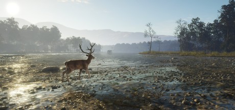 theHunter: Call of the Wild - Sundarpatan Nepal Hunting Reserve DLC PC Steam CD Key