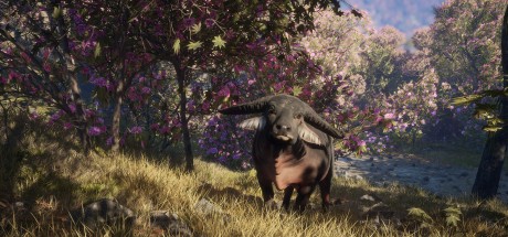 theHunter: Call of the Wild - Sundarpatan Nepal Hunting Reserve DLC PC Steam CD Key