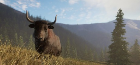 theHunter: Call of the Wild - Sundarpatan Nepal Hunting Reserve DLC PC Steam CD Key