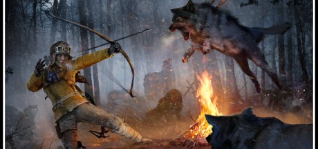 Rise of the Tomb Raider - Endurance Mode DLC Steam CD Key