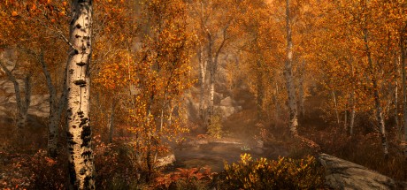 The Elder Scrolls V: Skyrim Special Edition Upgrade DLC PC Steam CD Key