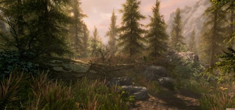 The Elder Scrolls V: Skyrim Special Edition Upgrade DLC PC Steam CD Key