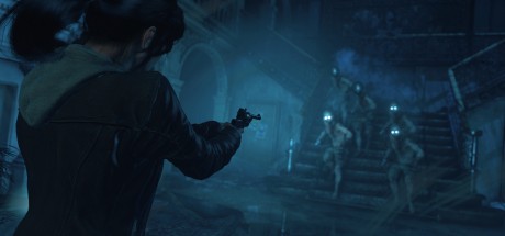 Rise of the Tomb Raider - 20 Year Celebration Pack DLC PC Steam CD Key