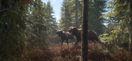 theHunter: Call of the Wild - Yukon Valley DLC UK XBOX One / Xbox Series X|S CD Key