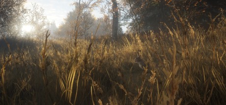 theHunter: Call of the Wild - Yukon Valley DLC UK XBOX One / Xbox Series X|S CD Key