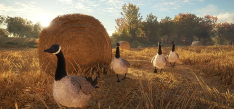 theHunter: Call of the Wild - Yukon Valley DLC UK XBOX One / Xbox Series X|S CD Key