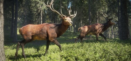 theHunter: Call of the Wild - Yukon Valley DLC UK XBOX One / Xbox Series X|S CD Key