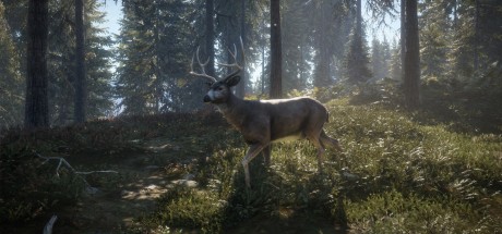 theHunter: Call of the Wild - Yukon Valley DLC UK XBOX One / Xbox Series X|S CD Key