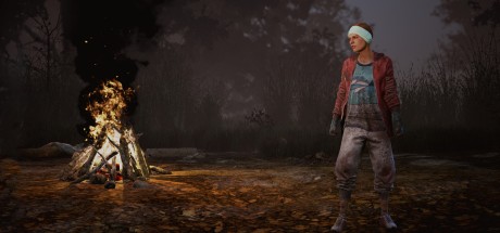 Dead by Daylight - Headcase DLC Steam CD Key