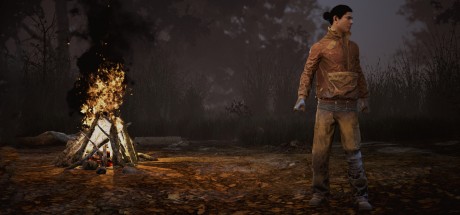 Dead by Daylight - Headcase DLC Steam CD Key