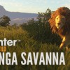 theHunter: Call of the Wild - Vurhonga Savanna DLC Steam CD Key