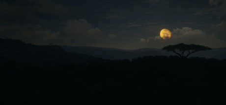 theHunter: Call of the Wild - Vurhonga Savanna DLC Steam CD Key