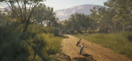 theHunter: Call of the Wild - Vurhonga Savanna DLC Steam CD Key