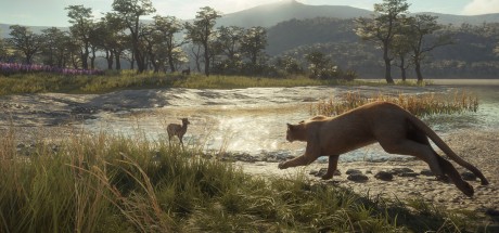 theHunter: Call of the Wild - Parque Fernando DLC EU PC Steam CD Key