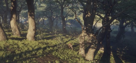 theHunter: Call of the Wild - Parque Fernando DLC EU PC Steam CD Key