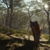 theHunter: Call of the Wild - Parque Fernando DLC EU PC Steam CD Key
