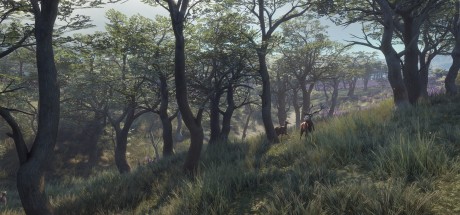 theHunter: Call of the Wild - Parque Fernando DLC EU PC Steam CD Key